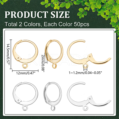 100Pcs 2 Colors 304 Stainless Steel Leverback Earring Findings STAS-PH0005-69-1