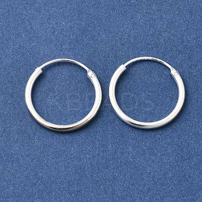Brass Hoop Earrings EJEW-G474-01S-02-1