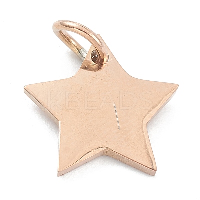 (Defective Closeout Sale: Scratches)304 Stainless Steel Charms LS-STAS-XCP0001-35-1