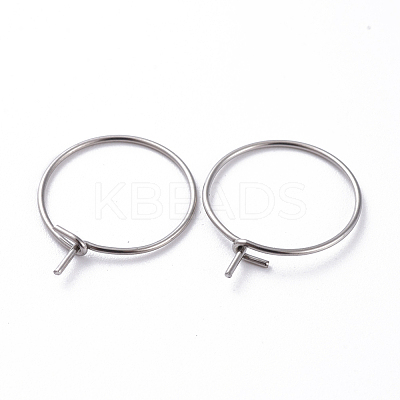 316 Surgical Stainless Steel Hoop Earring Findings STAS-J025-01H-P-P-1