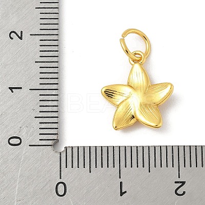 Brass Charms KK-Z107-05G-02-1