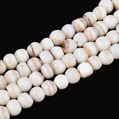 Natural Freshwater Shell Beads Strands SHEL-N038-04-1