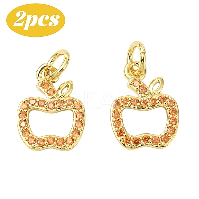 2Pcs Brass Micro Pave Cubic Zirconia Charms KK-YW0003-24B-1