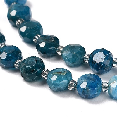 Natural Apatite Beads Strands G-B153-A05-1