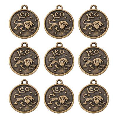 Tibetan Style Pendants X-PALLOY-E196-AB-NF-1