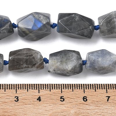 Natural Labradorite Beads Strands G-C270-F01-1