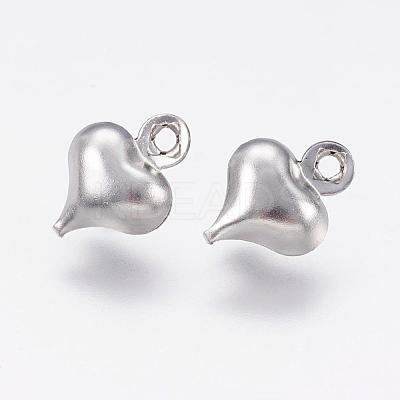 Tarnish Resistant 304 Stainless Steel Charms STAS-P167-G01-1