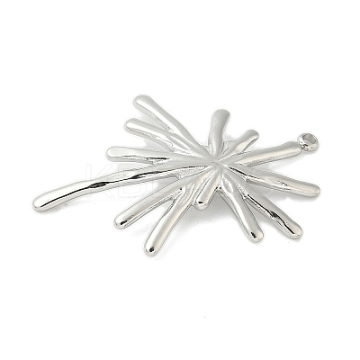 304 Stainless Steel Pendants STAS-L293-09B-P-1