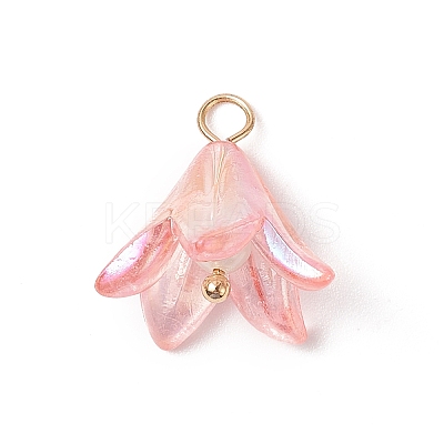 Acrylic Pendants PALLOY-TA00023-1