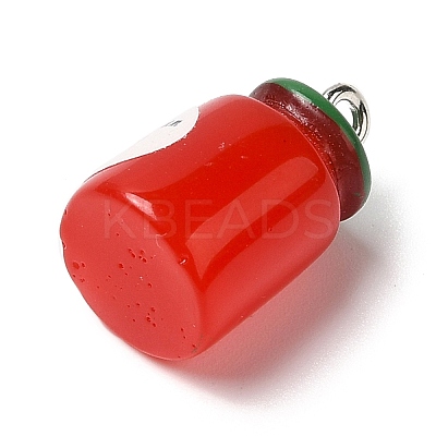 Opaque Resin Imitation Food Pendants RESI-L038-06P-02-1