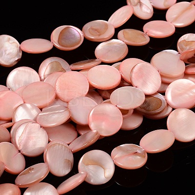 Natural Shell Beads Strands X-PBB251Y-6-1