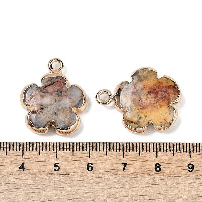 Natural Crazy Agate Pendants G-P566-01G-05-1