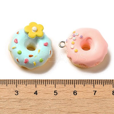 Opaque Resin Imitation Food Pendants RESI-G093-01-1