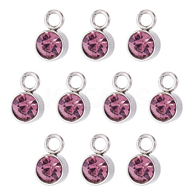10Pcs Glass Rhinestone Charms STAS-TA0003-26H-1