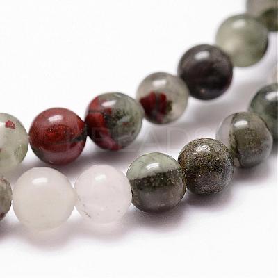 Natural African Bloodstone Beads Strands G-D840-66-8mm-1