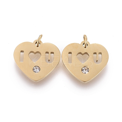 316 Surgical Stainless Steel Charms STAS-I164-036G-1