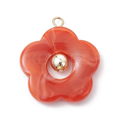 Acrylic Pendant PALLOY-JF02468-1