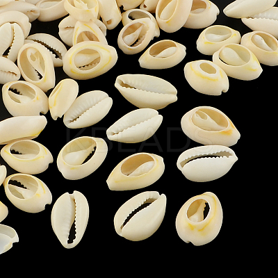Natural Mixed Cowrie Shell Beads X-BSHE-S051-01-1