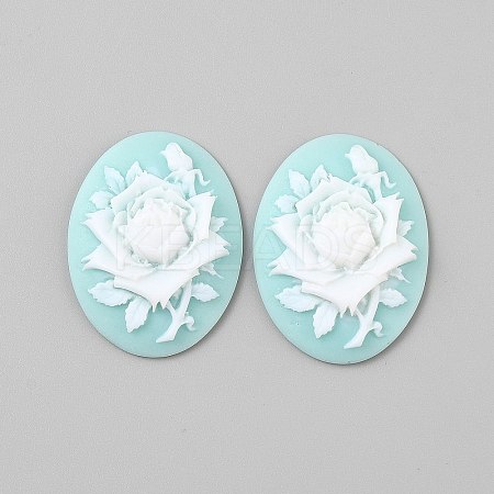 Resin Cabochons CRES-WH0018-02A-1
