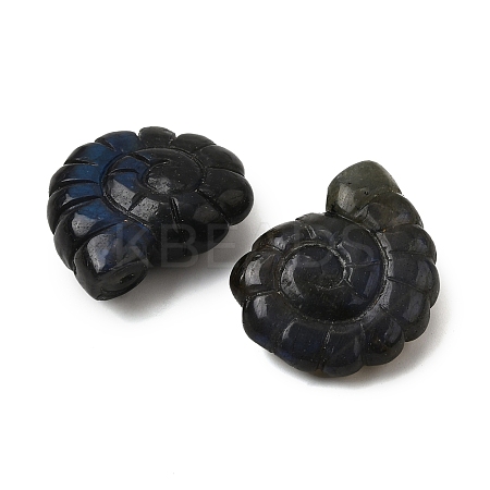 Natural Labradorite Pendants G-NH0065-01C-1