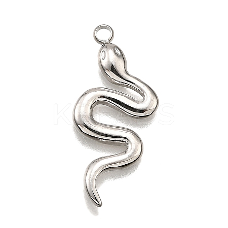304 Stainless Steel Pendants STAS-M116-25P-1