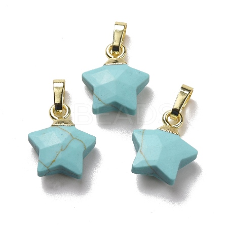 Synthetic Turquoise Charms G-F584-A20-G-1