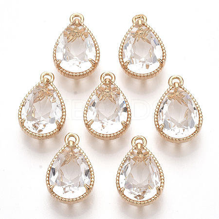 Transparent Glass Pendants GLAA-R212-11D-1