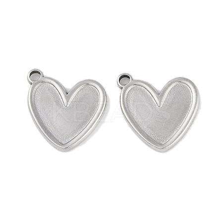 Non-Tarnish 304 Stainless Steel Pendants STAS-C106-03P-1
