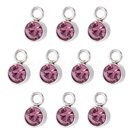 10Pcs Glass Rhinestone Charms STAS-TA0003-26H-1