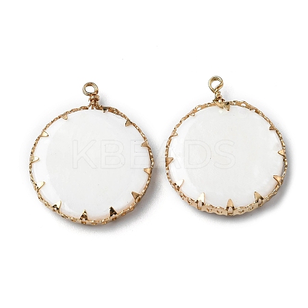 Alloy Freshwater Shell Pendants PALLOY-K006-01G-1