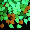 Luminous Transparent Resin Pendants RESI-Z038-06P-4