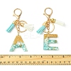 Transparent Epoxy Resin Pendant Keychains KEYC-FS00022-08-3