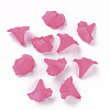 Transparent Acrylic Beads X-BSF796-C16-4