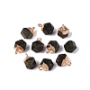 Natural Labradorite Pendants G-N359-18G-02-1