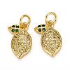 Brass Micro Pave Cubic Zirconia Charms ZIRC-L093-18G-1