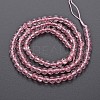 Crackle Glass Beads Strands GLAA-S192-B-006-2