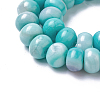 Natural Dyed Agate Imitation Turquoise Beads Strands G-P425-01A-02-3