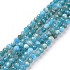 Natural Apatite Beads Strands LS-G-E411-36-2mm-01-2