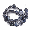 Natural Freshwater Shell Beads Strands X-SHEL-N020-2-02A-2