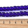 Handmade Lampwork Beads Strands LAMP-I030-02D-4