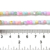 Rainbow Color Dyed Natural Freshwater Shell Beads Strands SHEL-G018-02D-4