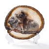 Printed Natural Agate Slice Stone Ornament DJEW-M011-04B-4
