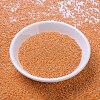 MIYUKI Round Rocailles Beads SEED-X0054-RR0423-2