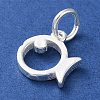 925 Sterling Silver Hollow Fish Charms with Jump Rings STER-E071-01S-09-2