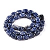 Natural Blue Spot Jasper Beads Strands G-T138-101-2