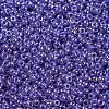MIYUKI Round Rocailles Beads SEED-G009-RR0432-2