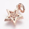 Brass Micro Pave Cubic Zirconia Charms LS-ZIRC-G087-35RG-2