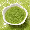 Transparent Colours Glass Round Seed Beads SEED-B001-06A-11-2