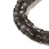 Natural Silver Obsidian Beads Strands G-B074-C10-01-4