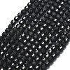 Natural Black Onyx(Dyed & Heated) Beads Strands G-A260-A21-01-2